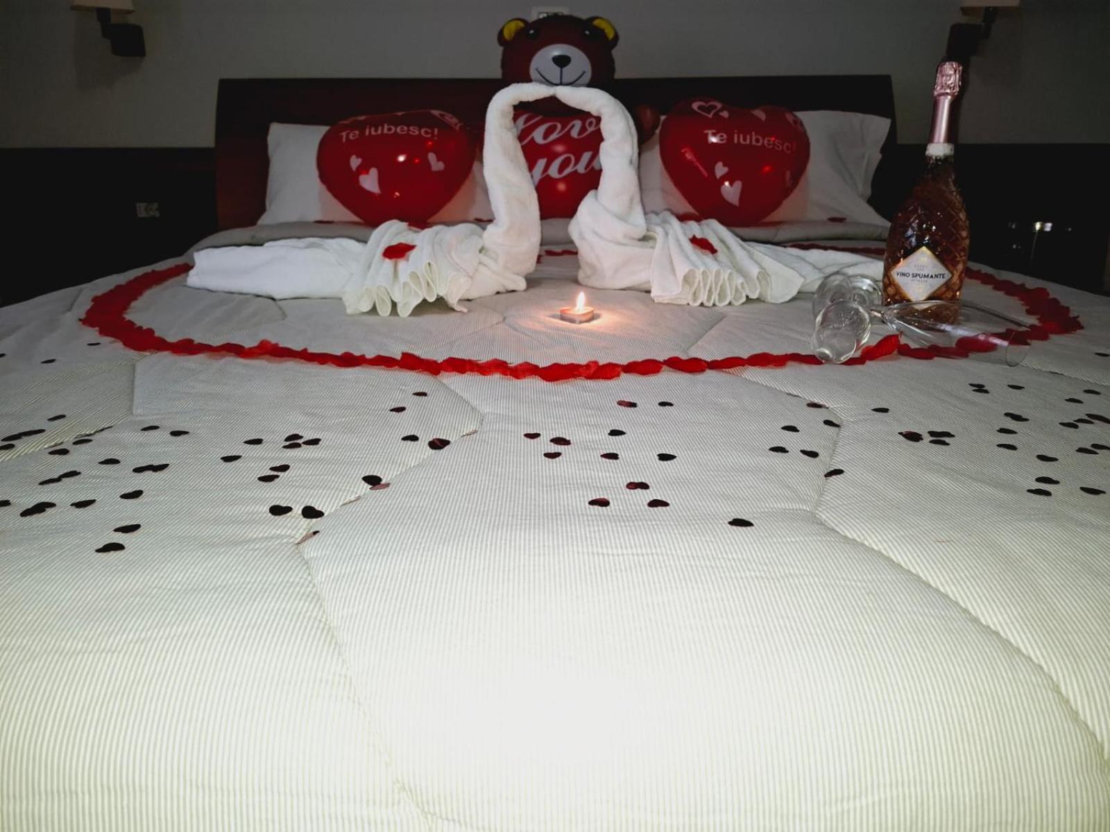 Hotel Vila Veneto Timisoara Luaran gambar