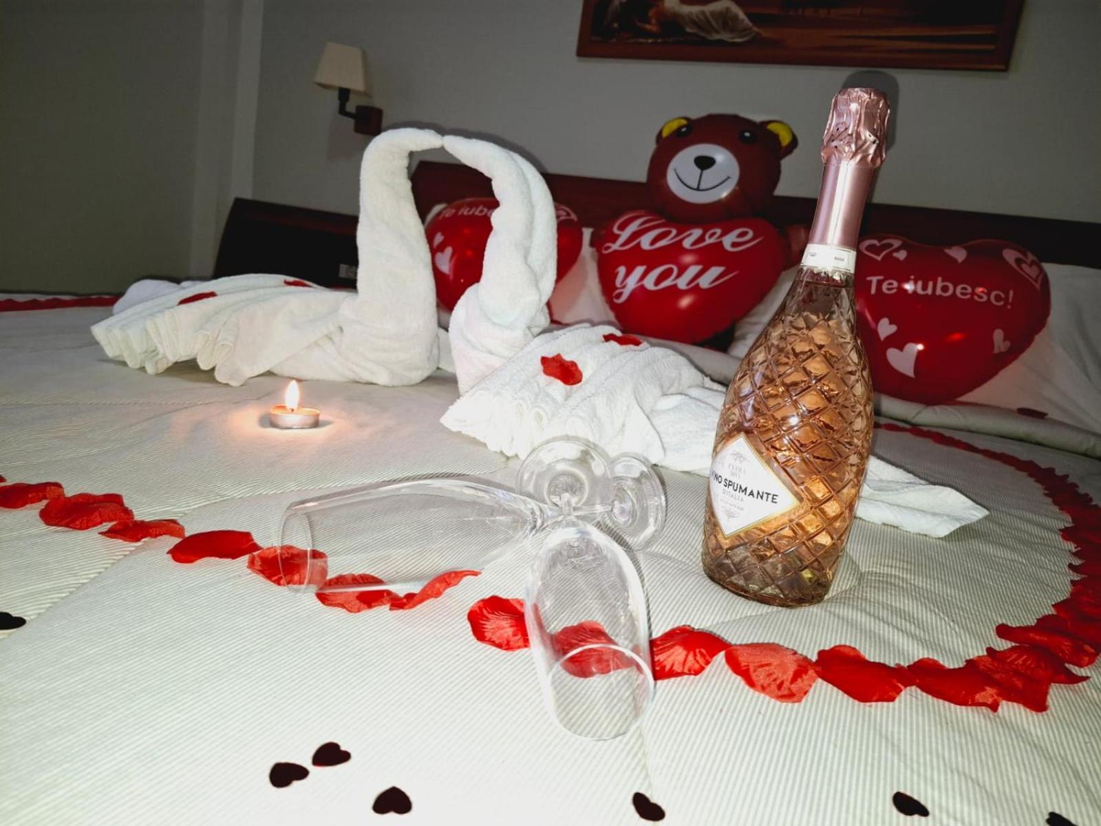 Hotel Vila Veneto Timisoara Luaran gambar